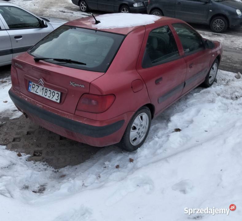 Citroen Xsara 14 B Rzeszów sprzedam