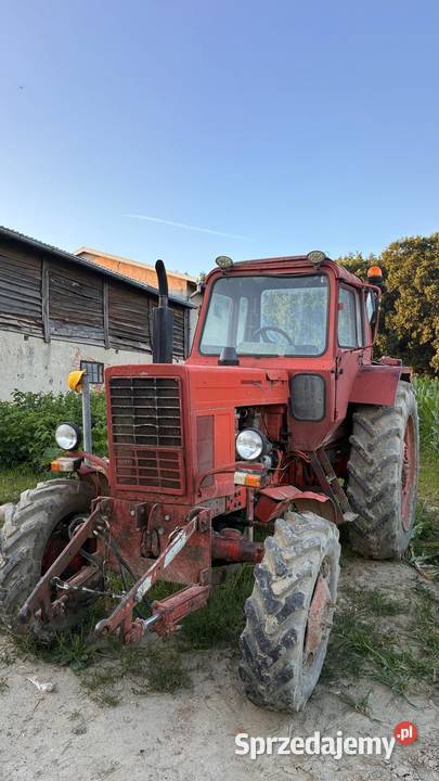 MTZ 82 Chełmżyca sprzedam