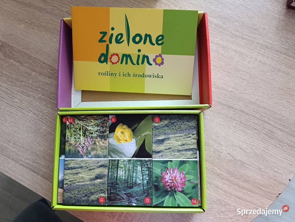 Zielone domino rośliny i ich środowiska Kwidzyn