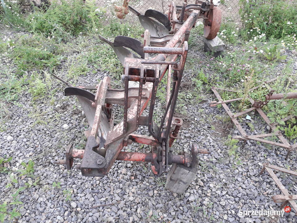 Pług zagonowy 31 Niemeyer Strawczynek sprzedam
