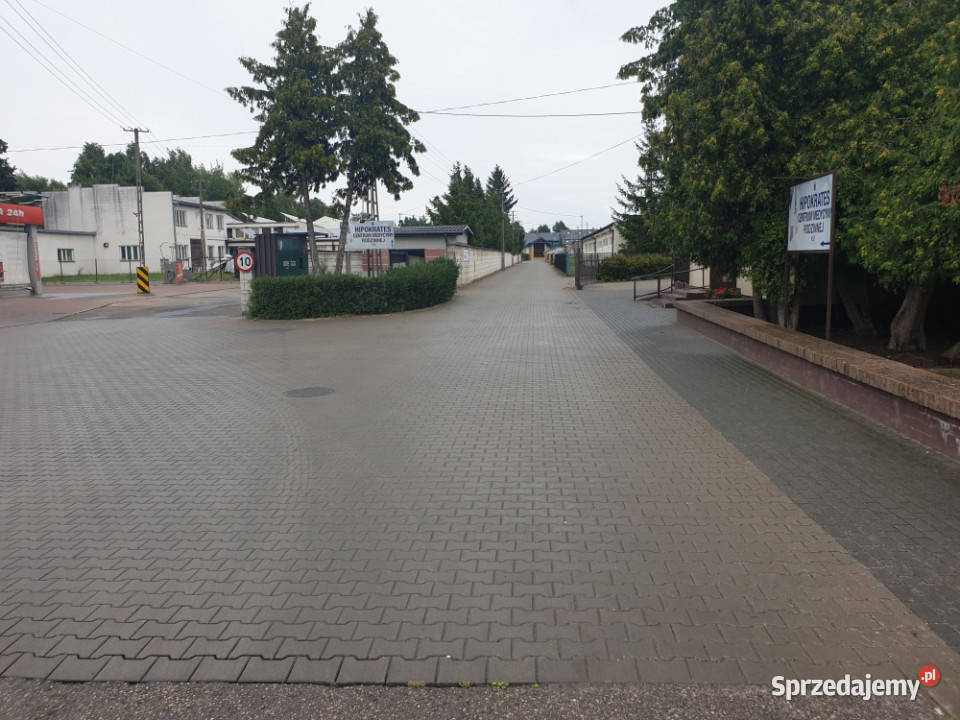 Syndyk sprzeda udział 194828 części w prawie Węgrów