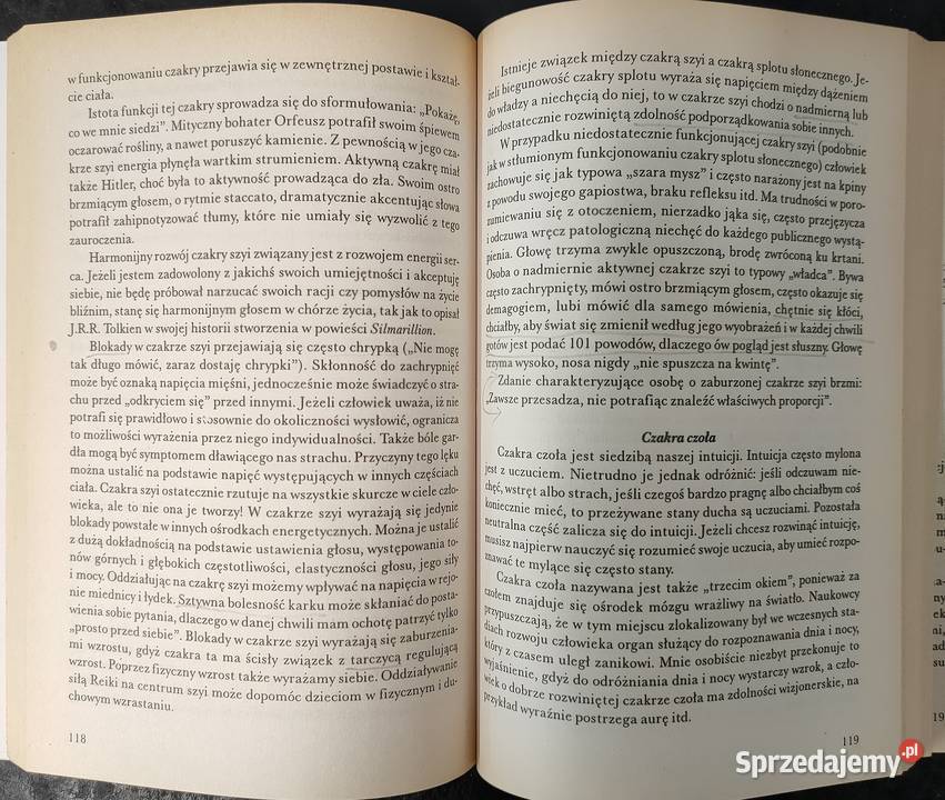 Podręcznik reiki Walter Lubeck