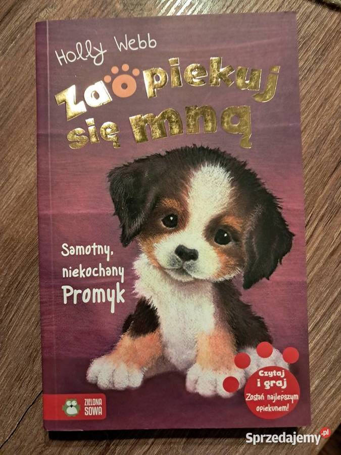 5 książek z serii zaopiekuj się mną Holly Webb Sandomierz