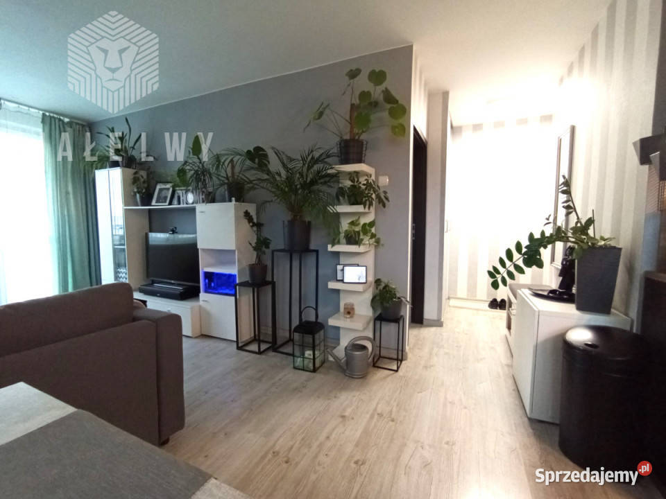 Sprzedaż mieszkania Warszawa 49m2 mazowieckie