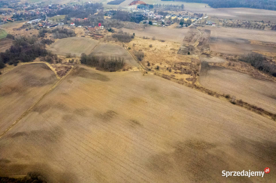 Działka rolna Grabowno Wielkie gm Twardogóra