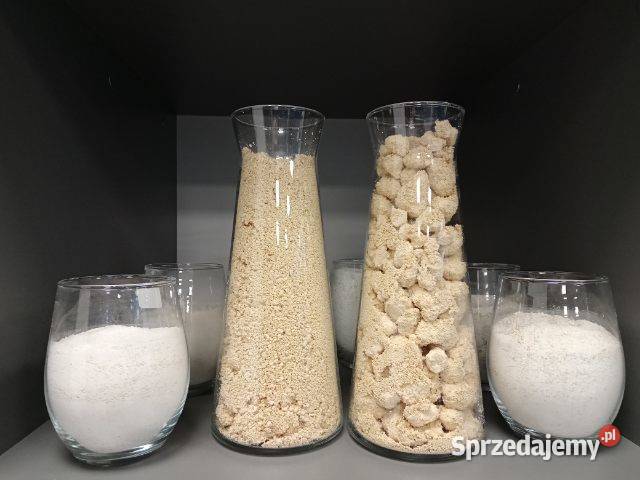 Wapna Świętokrzyskie Tlenkowe Magnezowe śląskie Gliwice