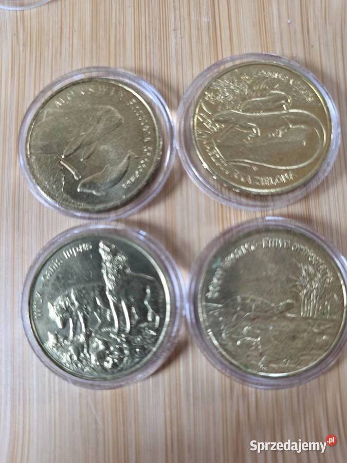 Monety 2 Bydgoszcz