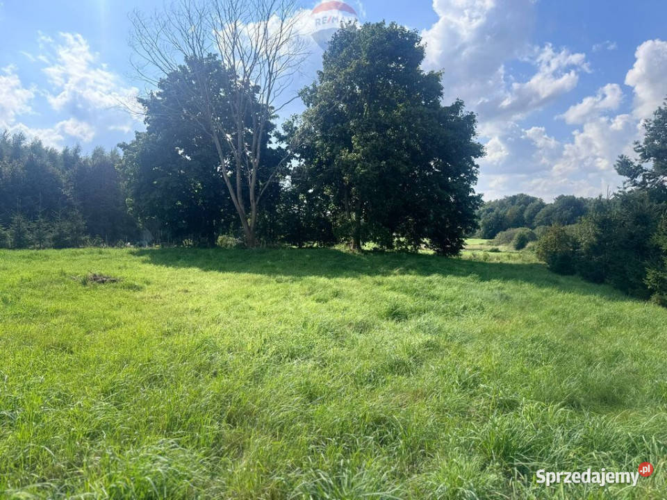 Przezmark 156 ha pod siedlisko inwestycję pomorskie