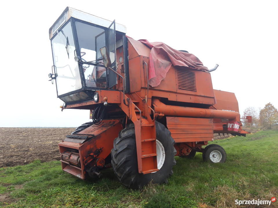 Kombajn Bizon Rekord Z058 Świelubie