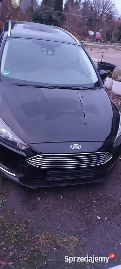 Ford Focus 2016 150KM Konie