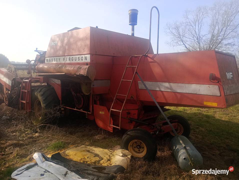 Massey Ferguson 307 na części Zbożowe Goleniów