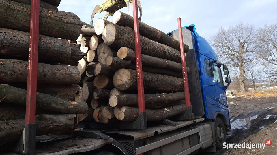 drewno opałowe kłody buk jesiondąb Świdnica sprzedam