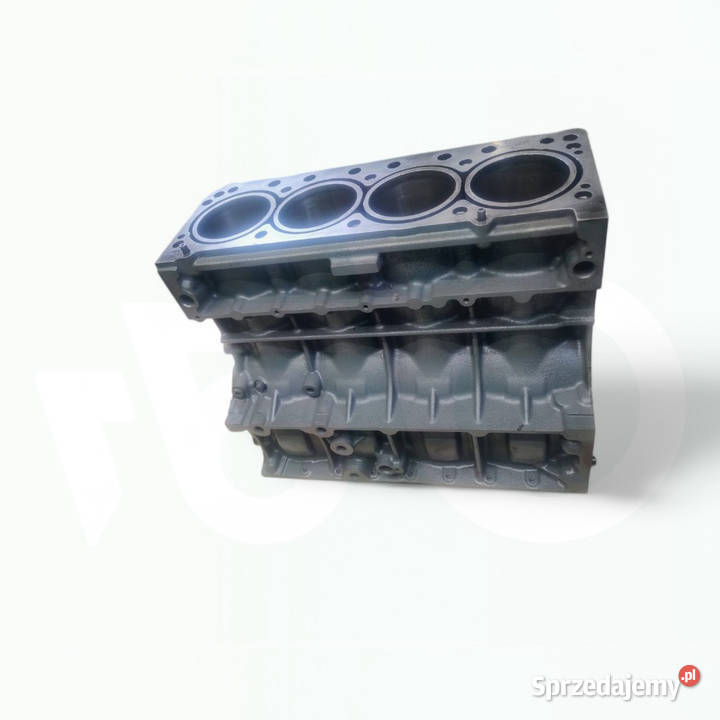 Blok silnika Deutz BF4L2011 04102460RY wielkopolskie Wilkowo sprzedam