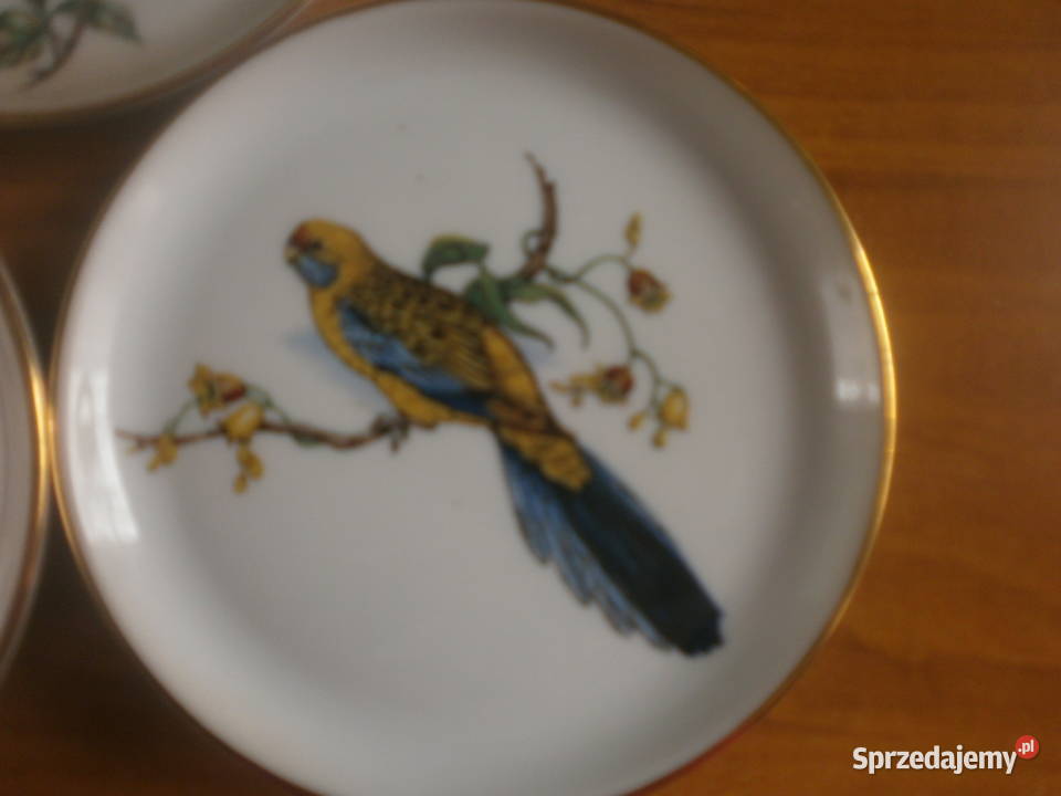 piękne porcelanowe talerzyki z papugami Zielona Góra