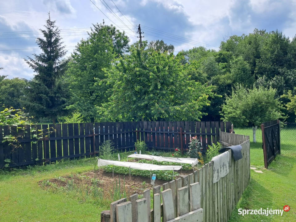 Bajecznie usytuowane siedlisko pod Bychawą Gałęzów