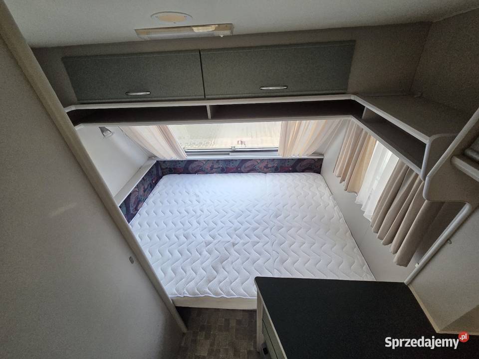 Beyerland Markiza przedsionek 1 śląskie