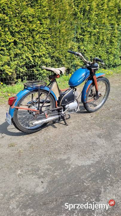 ZZR Komar sztywniak zarejestrowany Żory