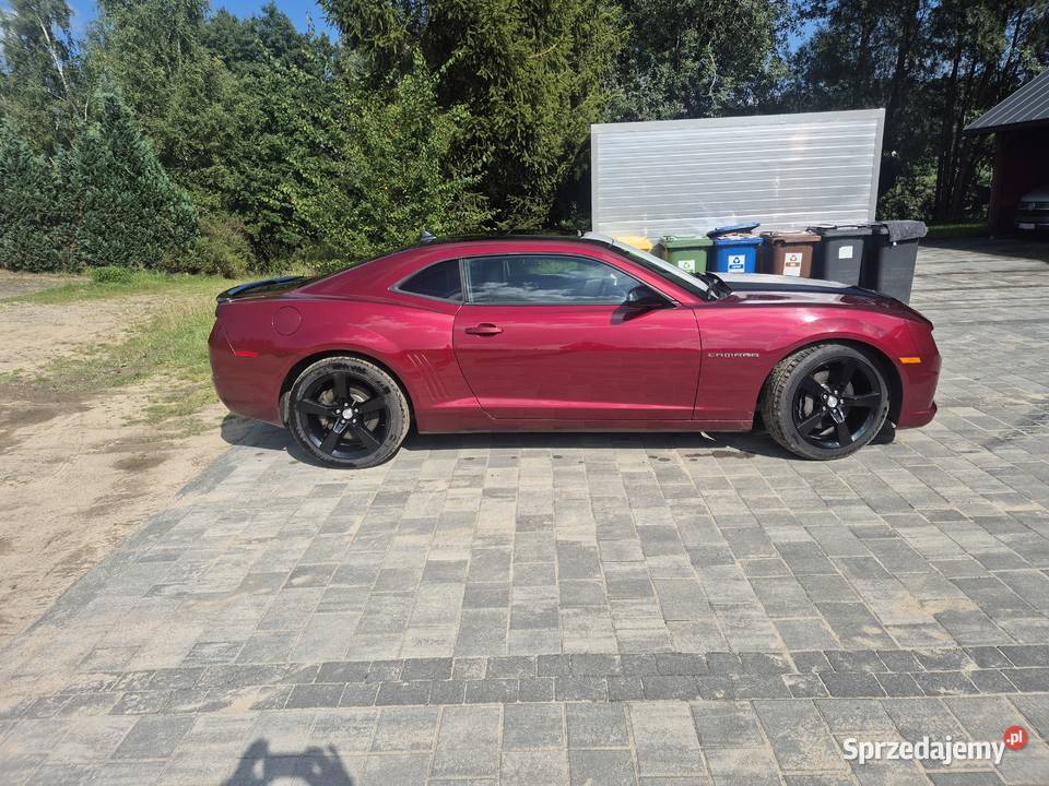 Chevrolet Camaro SS 62 Sulmin