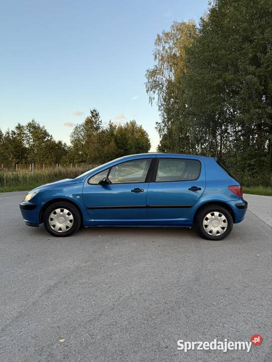 Peugeot 307 20HDI Radoszyce
