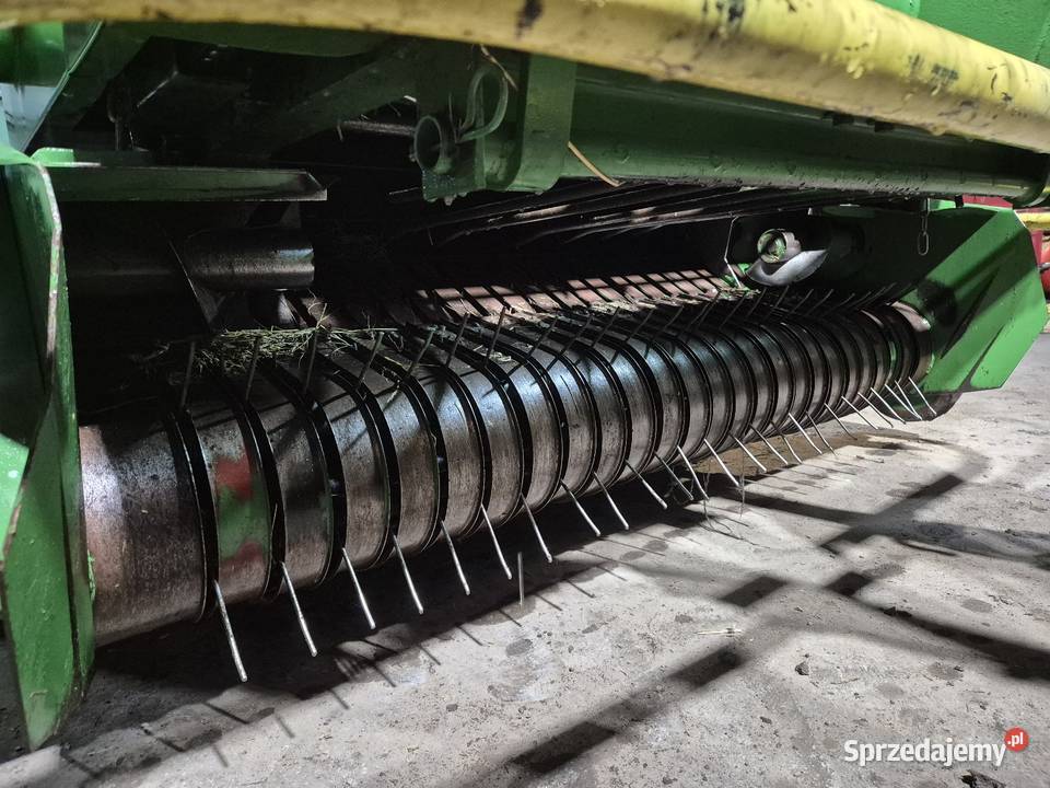 Prasa sipma 2004 siatka