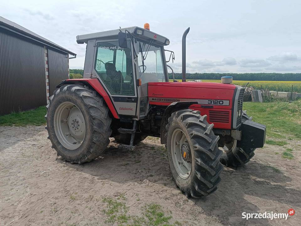 Massey Ferguson 3120 Bełżyce