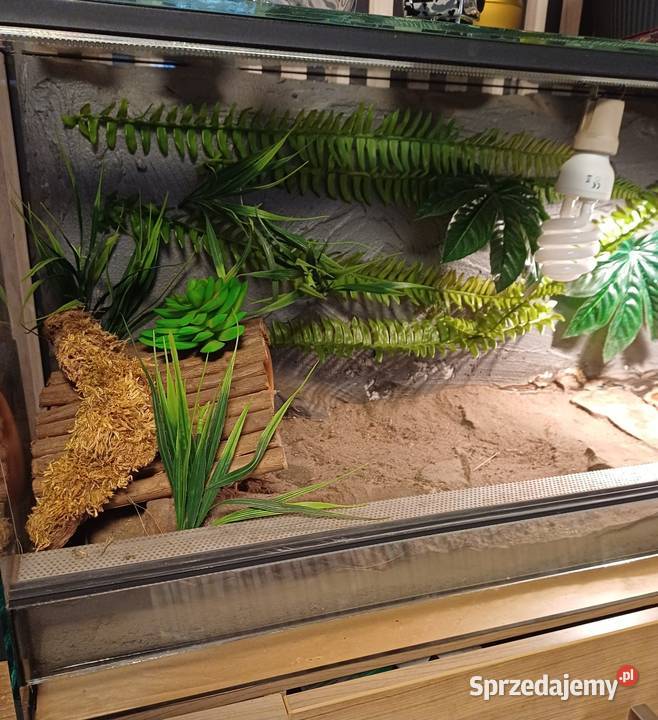 Terrarium z wyposażeniem 100x40x40 Sączów sprzedam