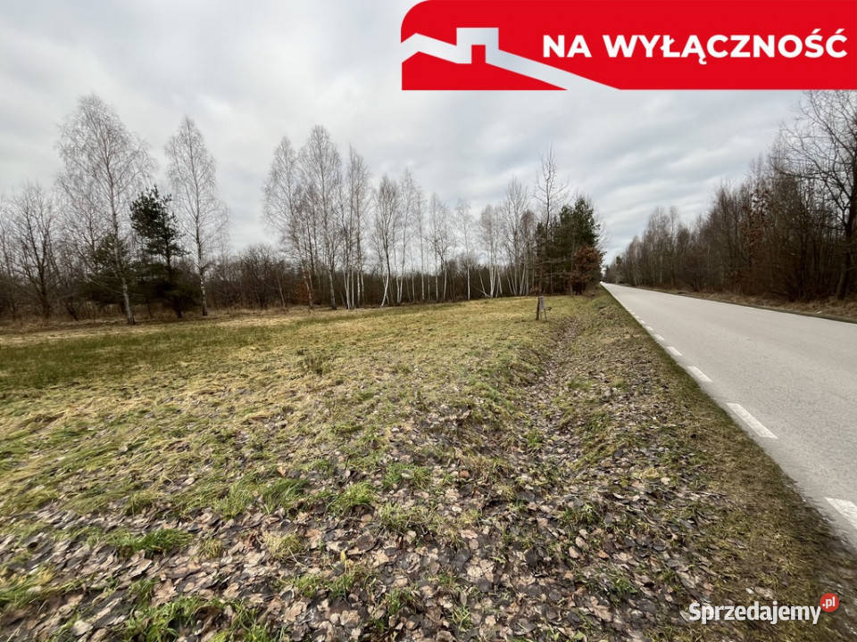 Działka 2600 m2 z WZ w Helenowie gm Pionki Helenów