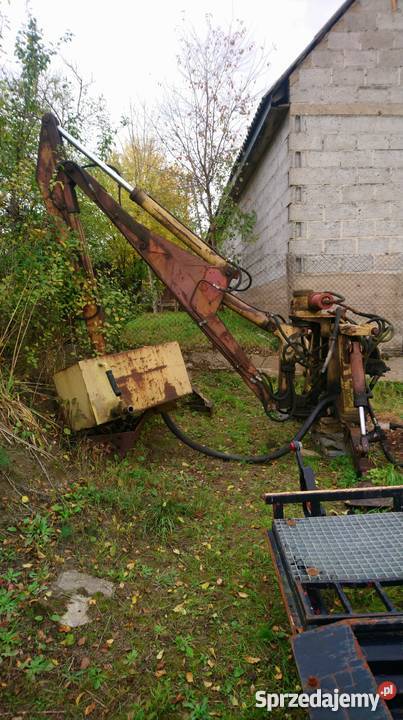 Pelikan w całości na części podlaskie