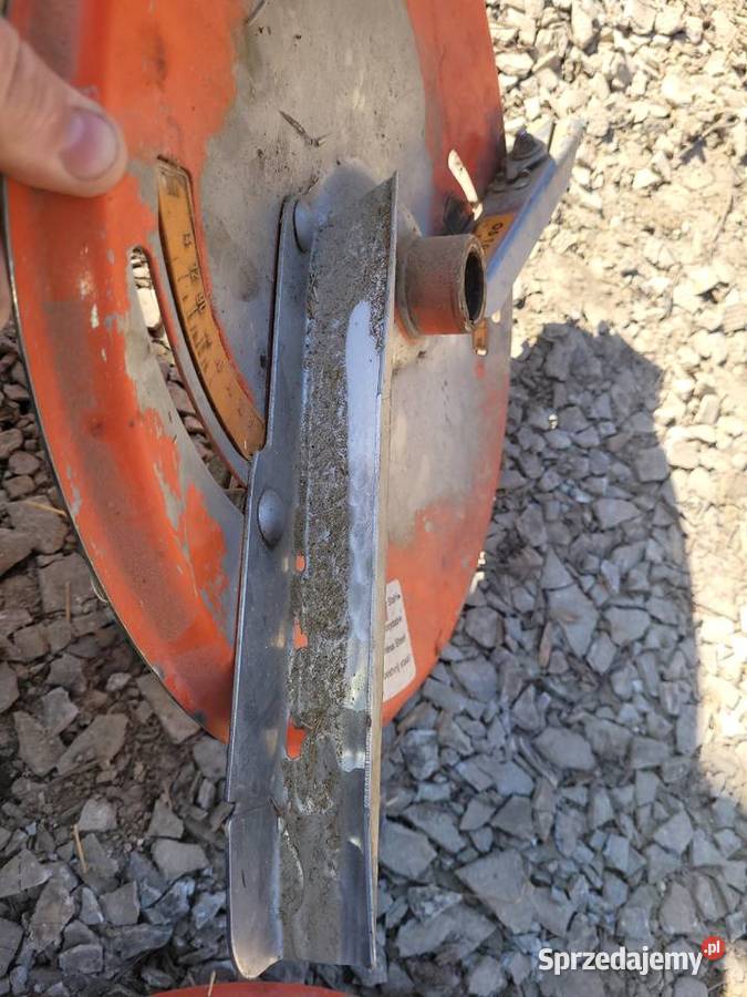 Taleze rozsiewacza amazone lubelskie Zdziłowice