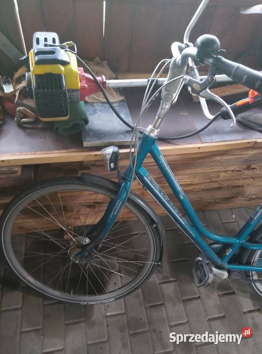 Rower holenderski bavatus Tyczyn