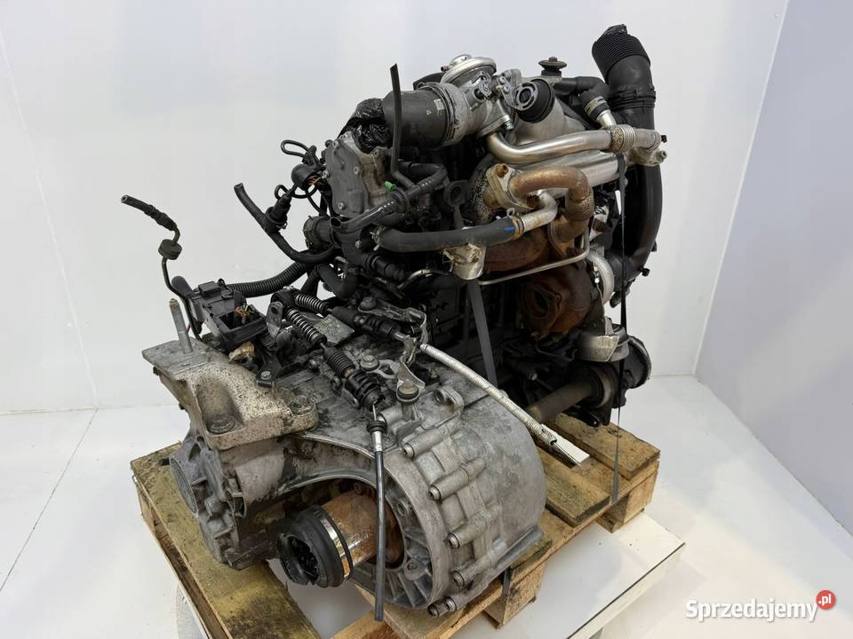 SILNIK ASZ VW Golf IV Bora Audi A3 8L Octavia osobowe Chełm