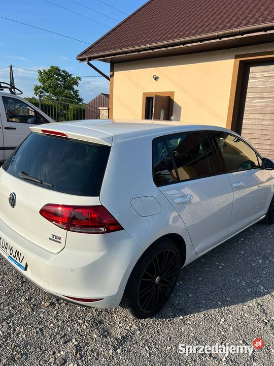 VW GOLF 7 16 TDI DSG podkarpackie Stalowa Wola
