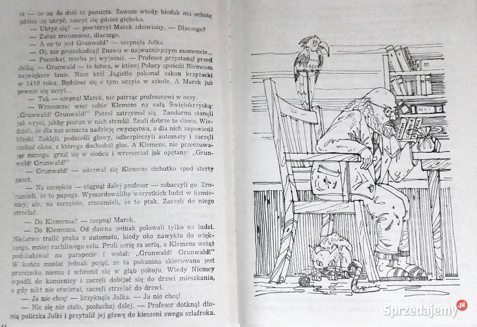 Papuga pana profesora Stanisława Chełm sprzedam