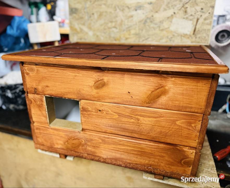 Buda psa kota sprzedam