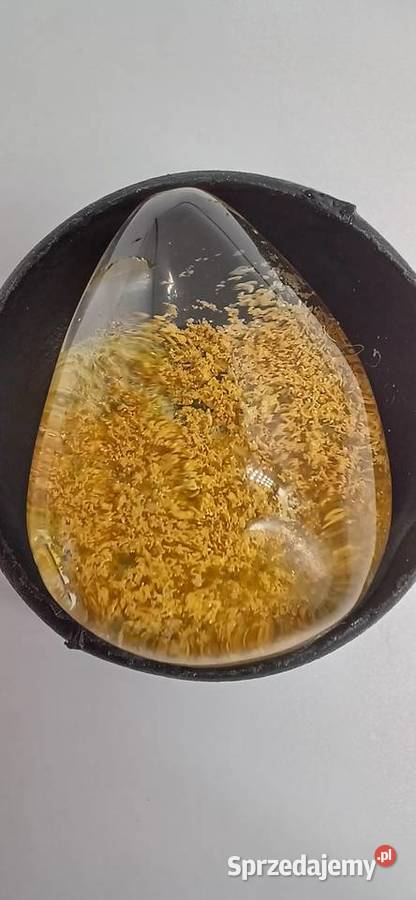Kolekcjonerski naturalny kwarc fantomowy żółty Olsztyn