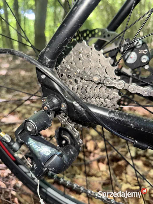 ScottS Peedster CX 20 DISC Rozmiar L56 zachodniopomorskie Gryfice sprzedam