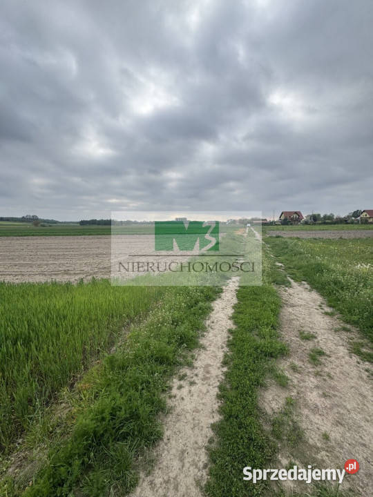 DO SPRZEDAŻY DZIAŁKA W WIERZAWICACH Sprzedaż podkarpackie Wierzawice