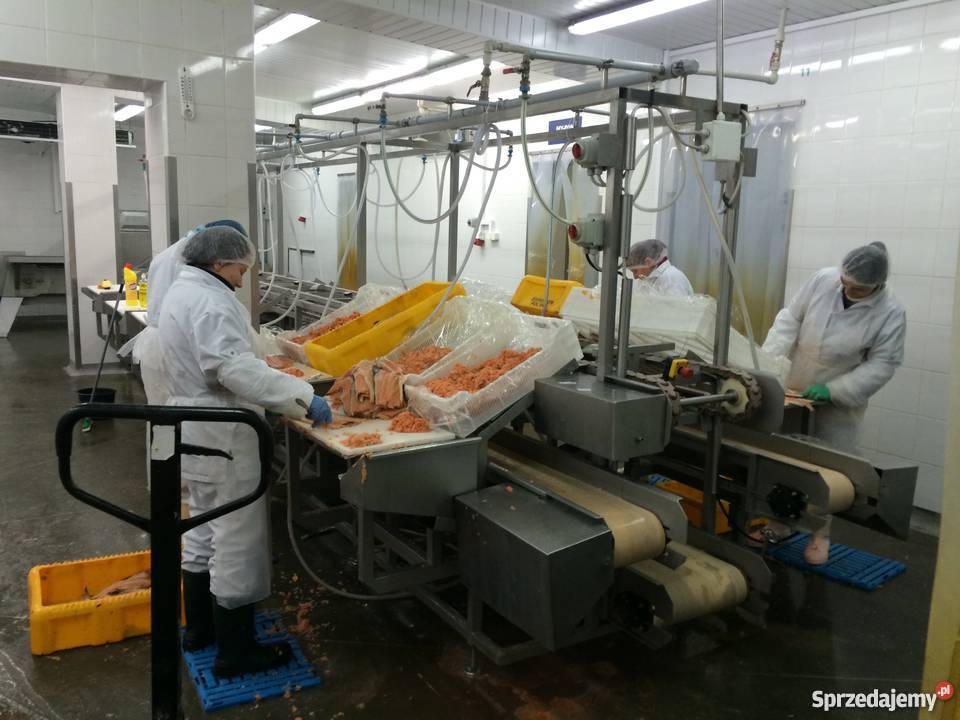 Nową wybudowaną podstaw przetwórnię sprzedam Kołobrzeg