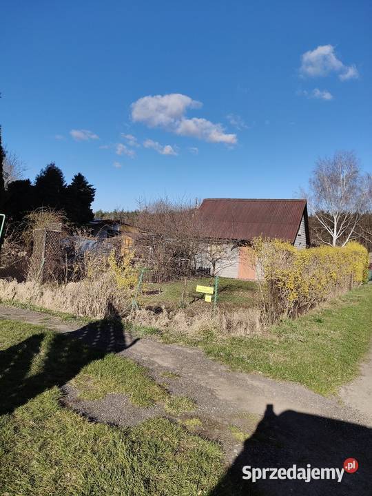 Sprzedam działkę ROD SIELANKA 350m2 Sprzedaż Grudziądz