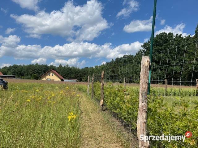 Działki budowlane Podańsko Goleniów Szczecin