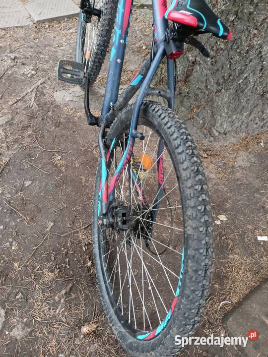 Rower MTB 29 Wołów
