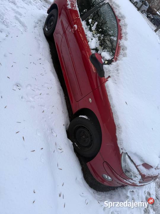 Peugeot 206 lubelskie Lublin sprzedam
