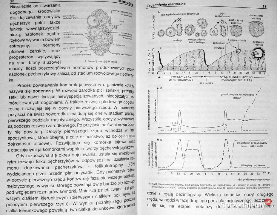 Matura z biologii Agnieszka Cerańska lubelskie Chełm sprzedam