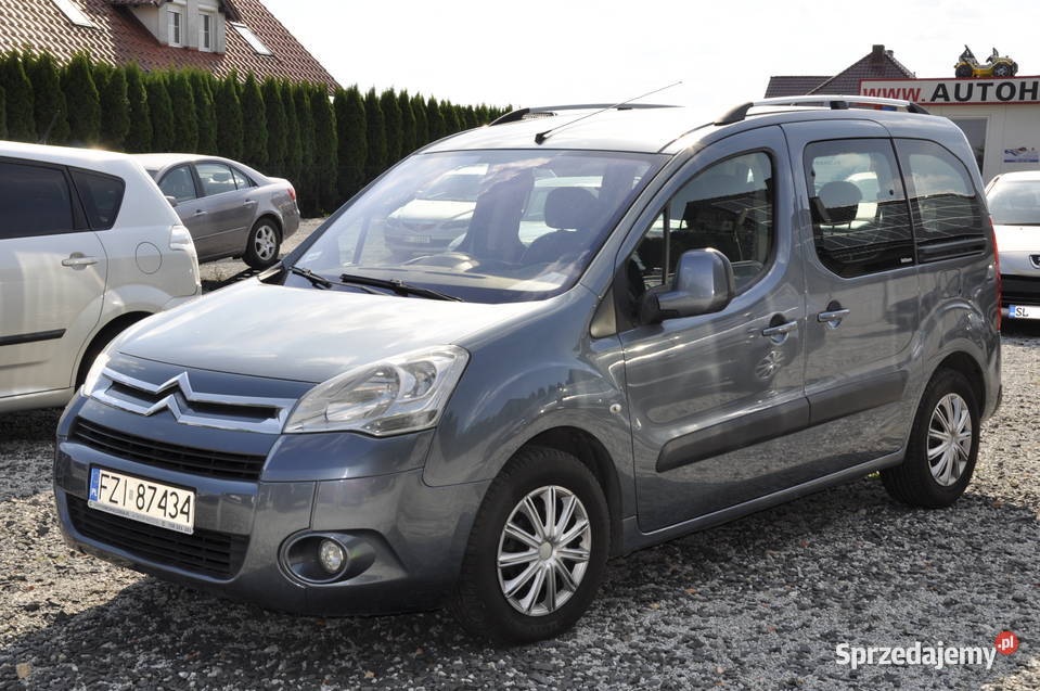 berlingo multi space rej Sulechów