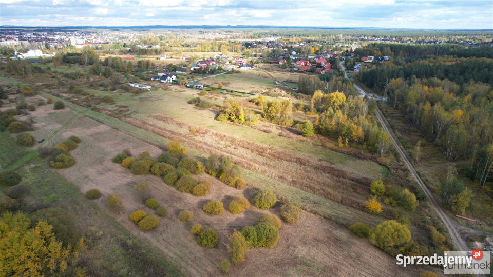 sprzedaży działki 2894 metry Korczów lubelskie