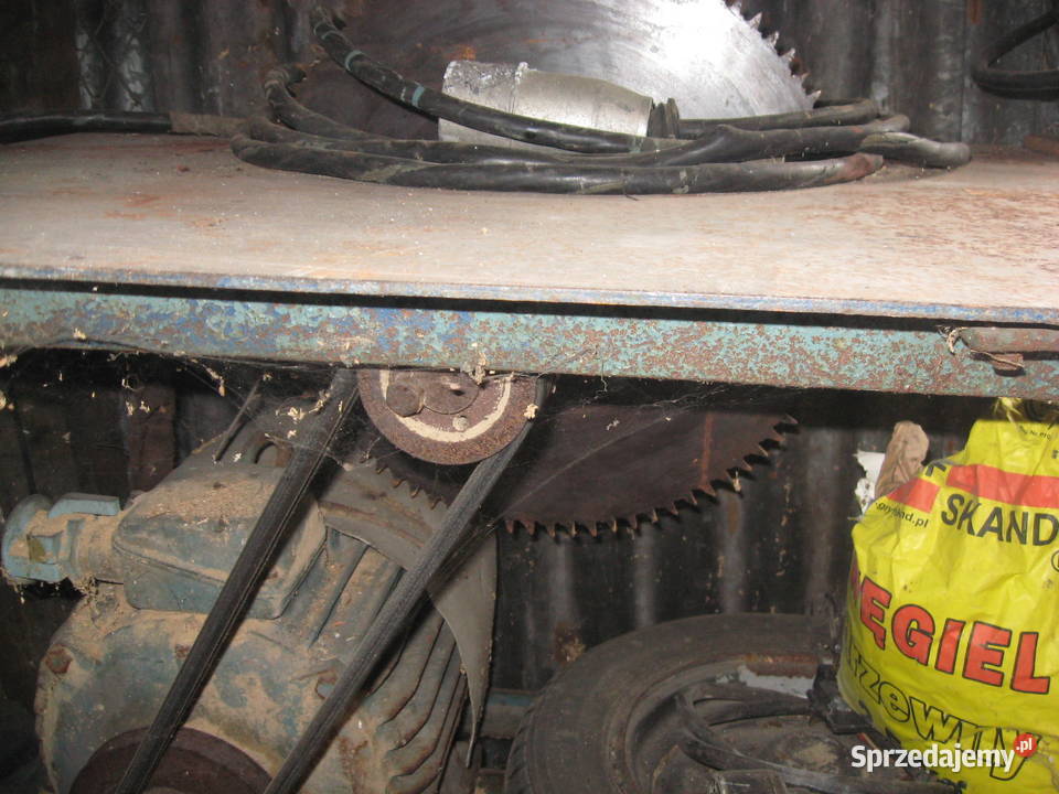 Piła stołowa duża