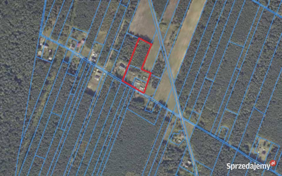 Dom z dużą działką i lasem w Nowinach Brdowskich parterowy Nowiny Brdowskie sprzedam