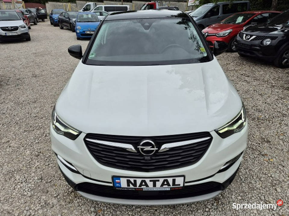Opel Grandland X nowy Skóra Super stanPerła sprzedam