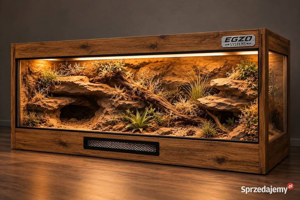 Terrarium pustynne agamy brodatej gekona dolnośląskie Oleśnica