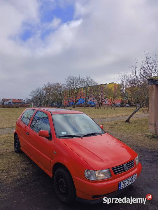 VW Polo 16 Benzyna nieuszkodzony Samochody osobowe Białogard